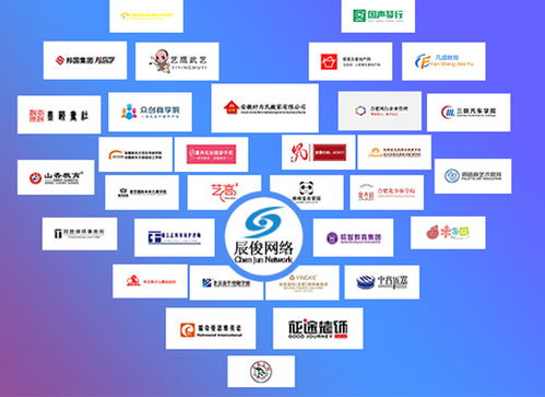 合肥辰俊信息科技 軟件開發(fā)與網(wǎng)絡推廣的專業(yè)解決方案